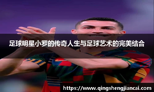 足球明星小罗的传奇人生与足球艺术的完美结合
